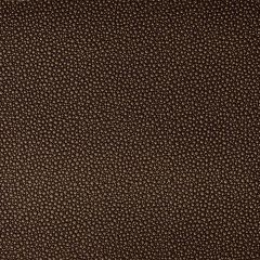 Kravet Contract Fetch Burnish 84 Foundations / Value Collection Indoor Upholstery Fabric