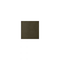 Kravet Contract Foothill Tortoise 33 Sta-kleen Collection Indoor Upholstery Fabric