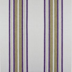 Gaston Y Daniela Nueva York Purple / Verde GDT5573-004 Gaston Luis Bustamante Collection Multipurpose Fabric