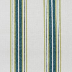 Gaston Y Daniela Nueva York Verde GDT5573-006 Gaston Luis Bustamante Collection Multipurpose Fabric