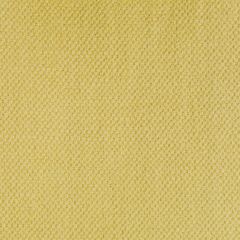 Gaston Y Daniela Lima Trigo Gdt5616-008 Gaston Nuevo Mundo Collection Indoor Upholstery Fabric