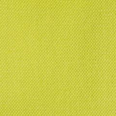 Gaston Y Daniela Lima Apple Green Gdt5616-009 Gaston Nuevo Mundo Collection Indoor Upholstery Fabric