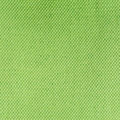 Gaston Y Daniela Lima Verde Claro Gdt5616-010 Gaston Nuevo Mundo Collection Indoor Upholstery Fabric