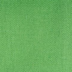 Gaston Y Daniela Lima Verde Gdt5616-011 Gaston Nuevo Mundo Collection Indoor Upholstery Fabric