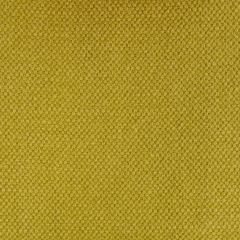 Gaston Y Daniela Lima Aceite GDT5616-012 Gaston Nuevo Mundo Collection Indoor Upholstery Fabric