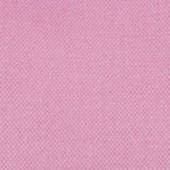 Gaston Y Daniela Lima Malva GDT5616-019 Gaston Nuevo Mundo Collection Indoor Upholstery Fabric