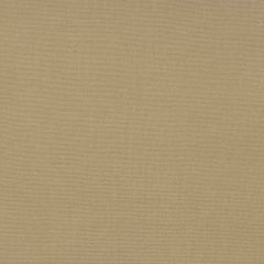 Gaston Y Daniela Palma Tierra 5688-011 Gaston Maiorica Collection Indoor Upholstery Fabric