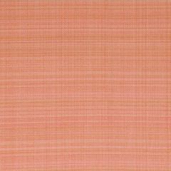 Bella Dura Grasscloth Persimmon 7365 Upholstery Fabric
