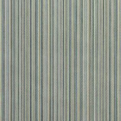 Grey Watkins Alder Stripe Moonstone GW 000127231 Flora Collection Indoor Upholstery Fabric