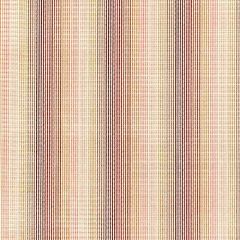 Grey Watkins Anderson Velvet Stripe Rosewood GW 000327244 Folklore Collection Indoor Upholstery Fabric