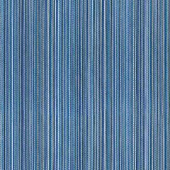 Grey Watkins Alder Stripe Bluejay GW 000427231 Flora Collection Indoor Upholstery Fabric