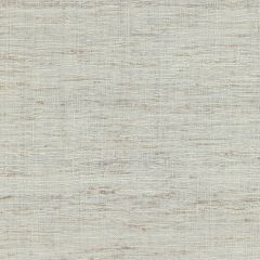 Lee Jofa Modern Sonoma Salt Gwf3109-1 VI Collection by Kelly Wearstler Multipurpose Fabric