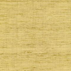 Lee Jofa Modern Sonoma Citrona Gwf3109-40 VI Collection by Kelly Wearstler Multipurpose Fabric