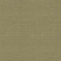 Lee Jofa Modern Mylene Silk Celery GWF-3225-23 Vol. IV Collection by Thomas O'Brien Indoor Upholstery Fabric