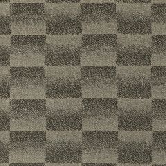 Lee Jofa Modern Surge Charcoal Gwf3762-21 VI Collection by Kelly Wearstler Indoor Upholstery Fabric