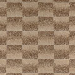 Lee Jofa Modern Surge Canyon Gwf3762-22 VI Collection by Kelly Wearstler Indoor Upholstery Fabric