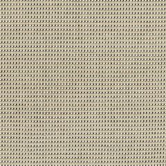 Lee Jofa Modern Risus Doe Gwf3763-168 VI Collection by Kelly Wearstler Indoor Upholstery Fabric