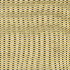 Lee Jofa Modern Risus Nugget Gwf3763-418 VI Collection by Kelly Wearstler Indoor Upholstery Fabric