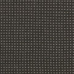 Lee Jofa Modern Tellus Obsidian Gwf3764-21 VI Collection by Kelly Wearstler Indoor Upholstery Fabric