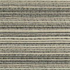 Lee Jofa Modern Relic Noir Gwf3765-168 VI Collection by Kelly Wearstler Indoor Upholstery Fabric