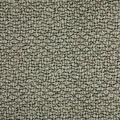 Lee Jofa Modern Rios Shadow 3782-8106 by Kelly Wearstler Oculum Indoor/Outdoor Collection Upholstery Fabric