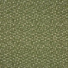 Lee Jofa Modern Serra Chive 3783-30 by Kelly Wearstler Oculum Indoor/Outdoor Collection Upholstery Fabric