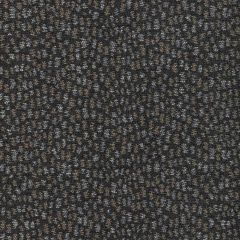 Lee Jofa Modern Combe Charcoal 3787-21 by Kelly Wearstler Oculum Indoor/Outdoor Collection Upholstery Fabric