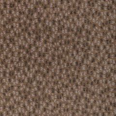 Lee Jofa Modern Combe Doe 3787-6 by Kelly Wearstler Oculum Indoor/Outdoor Collection Upholstery Fabric