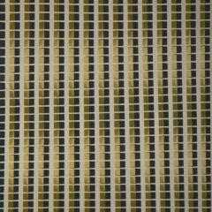 Lee Jofa Modern Refrakt Citron 3791-34 Kelly Wearstler VII Collection Multipurpose Fabric
