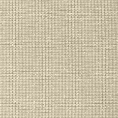 Lee Jofa Modern Mado Ash 3798-1101 VIII Collection by Kelly Wearstler Indoor Upholstery Fabric
