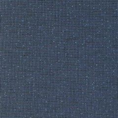 Lee Jofa Modern Mado Indigo 3798-850 VIII Collection by Kelly Wearstler Indoor Upholstery Fabric