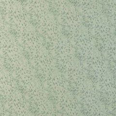Lee Jofa Modern Hana Seaglass 3800-33 VIII Collection by Kelly Wearstler Indoor Upholstery Fabric