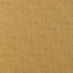 Lee Jofa Modern Hana Glint 3800-411 VIII Collection by Kelly Wearstler Indoor Upholstery Fabric
