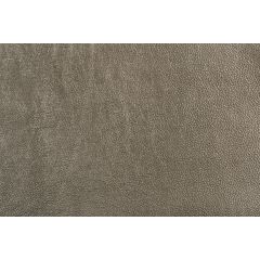Lee Jofa Modern Trophy Silver Gwl3406-11 Leather Collection by Kelly Wearstler Indoor Upholstery Fabric