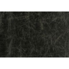 Lee Jofa Modern Notorious Black Gwl3407-8 Leather Collection by Kelly Wearstler Indoor Upholstery Fabric