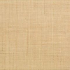 Lee Jofa Modern Fine Raffia Natural 3415-16 Elements II Naturals Collection Wall Covering