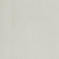 Old World Weavers Georgia Suede Gesso H6 37415937 Essential Leathers / Suedes / Hides Collection Contract Indoor Upholstery Fabric