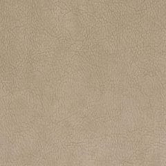 Old World Weavers Georgia Suede Nubuck H6 37455937 Essential Leathers / Suedes / Hides Collection Contract Indoor Upholstery Fabric