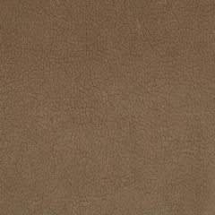 Old World Weavers Georgia Suede Twig H6 37505937 Essential Leathers / Suedes / Hides Collection Contract Indoor Upholstery Fabric