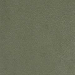 Old World Weavers Georgia Suede Sage H6 37545937 Essential Leathers / Suedes / Hides Collection Contract Indoor Upholstery Fabric