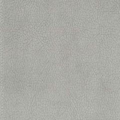 Old World Weavers Georgia Suede Nickel H6 37625937 Essential Leathers / Suedes / Hides Collection Contract Indoor Upholstery Fabric