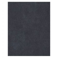 Old World Weavers Georgia Suede Graphite H6 37675937 Essential Leathers / Suedes / Hides Collection Contract Indoor Upholstery Fabric