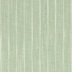 Bella Dura Harborview Meadow Home Collection Upholstery Fabric