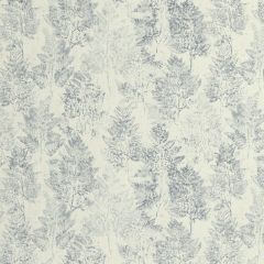 Kravet Basics Heiki Fern Silver 11 Monterey Collection Multipurpose Fabric