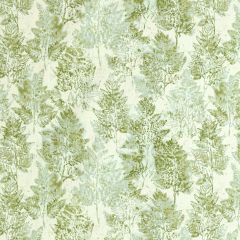 Kravet Basics Heiki Fern Linden 23 Monterey Collection Multipurpose Fabric