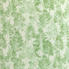 Kravet Basics Heiki Fern Emerald 3 Monterey Collection Multipurpose Fabric