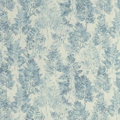 Kravet Basics Heiki Fern Lapis 5 Monterey Collection Multipurpose Fabric