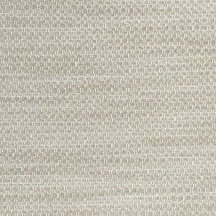 Patio Lane Ibiza Chamapgne Waterview Collection Upholstery Fabric