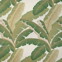 Kravet Couture Isla Royal Golden Palm 430 Casa Botanica Collection Multipurpose Fabric