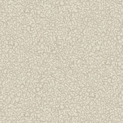 Kravet Couture Clouds 1021-21 Josephine Munsey Portfolio II Collection Wall Covering